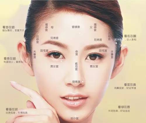 会越来越富的女人面相
