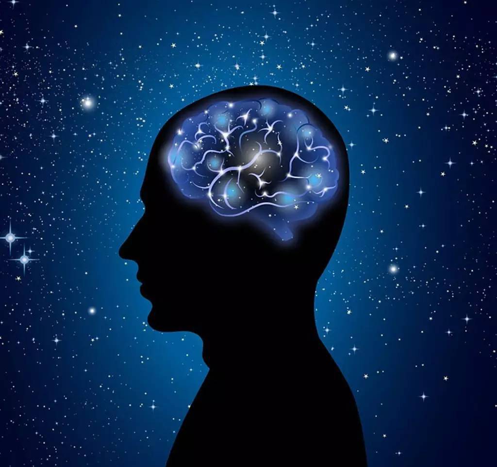 研究发现：人类大脑的认知功能在 35 岁会达到巅峰