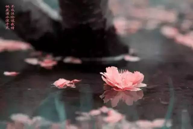 美到窒息的古典诗句