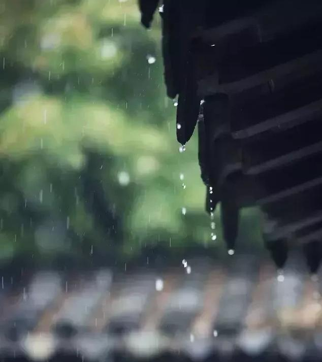 宋代:陆游  《十一月四日风雨大作二首》