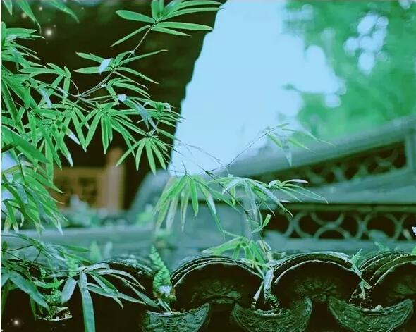 22幅修心养性的对联